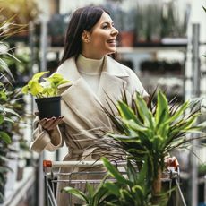 A smiling woman shops for houseplants